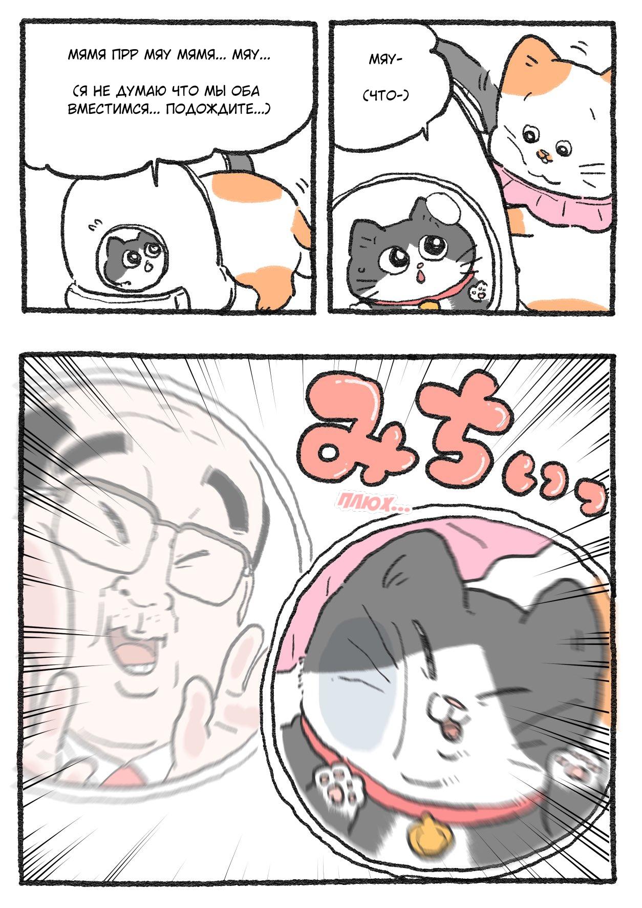 Read Старик, перевоплотившийся в кота Manga Online