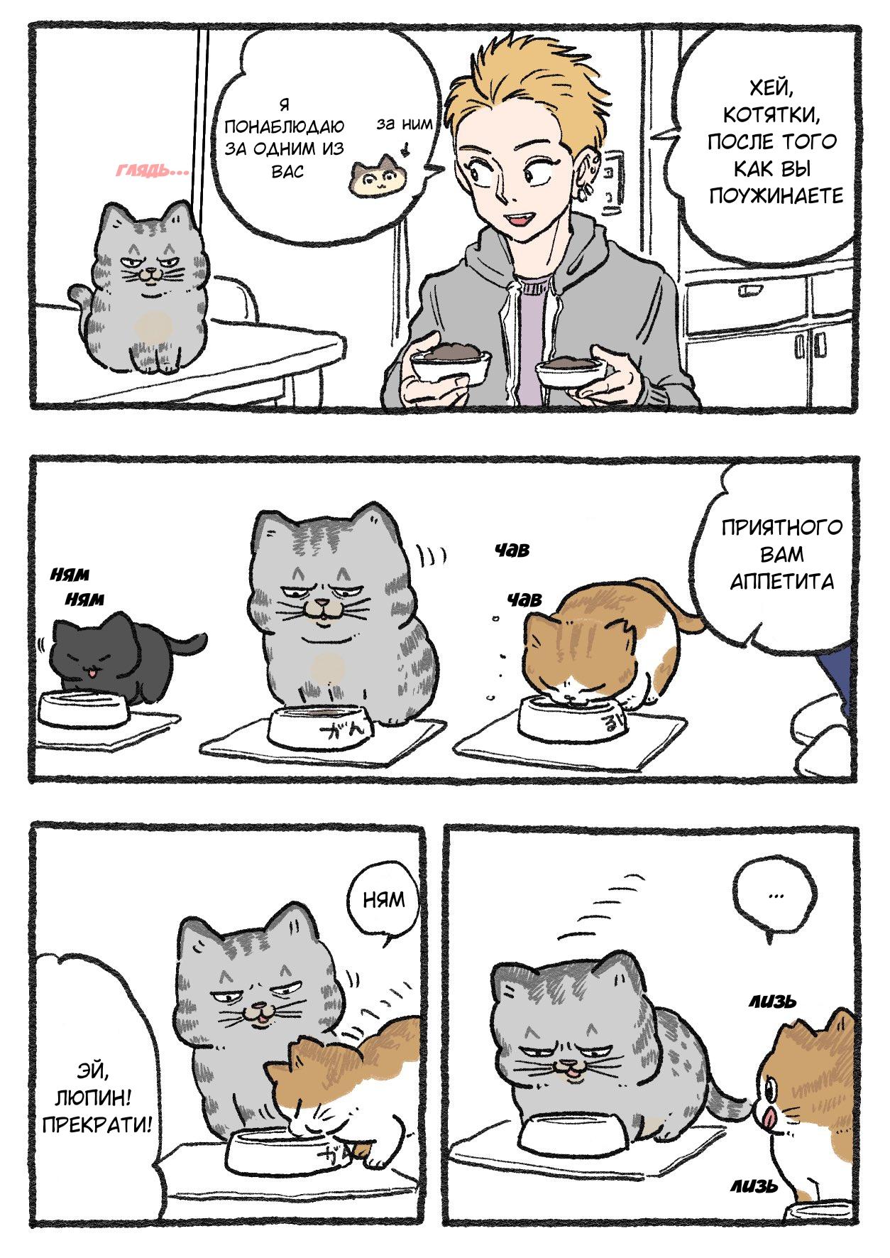 Read Старик, перевоплотившийся в кота Manga Online