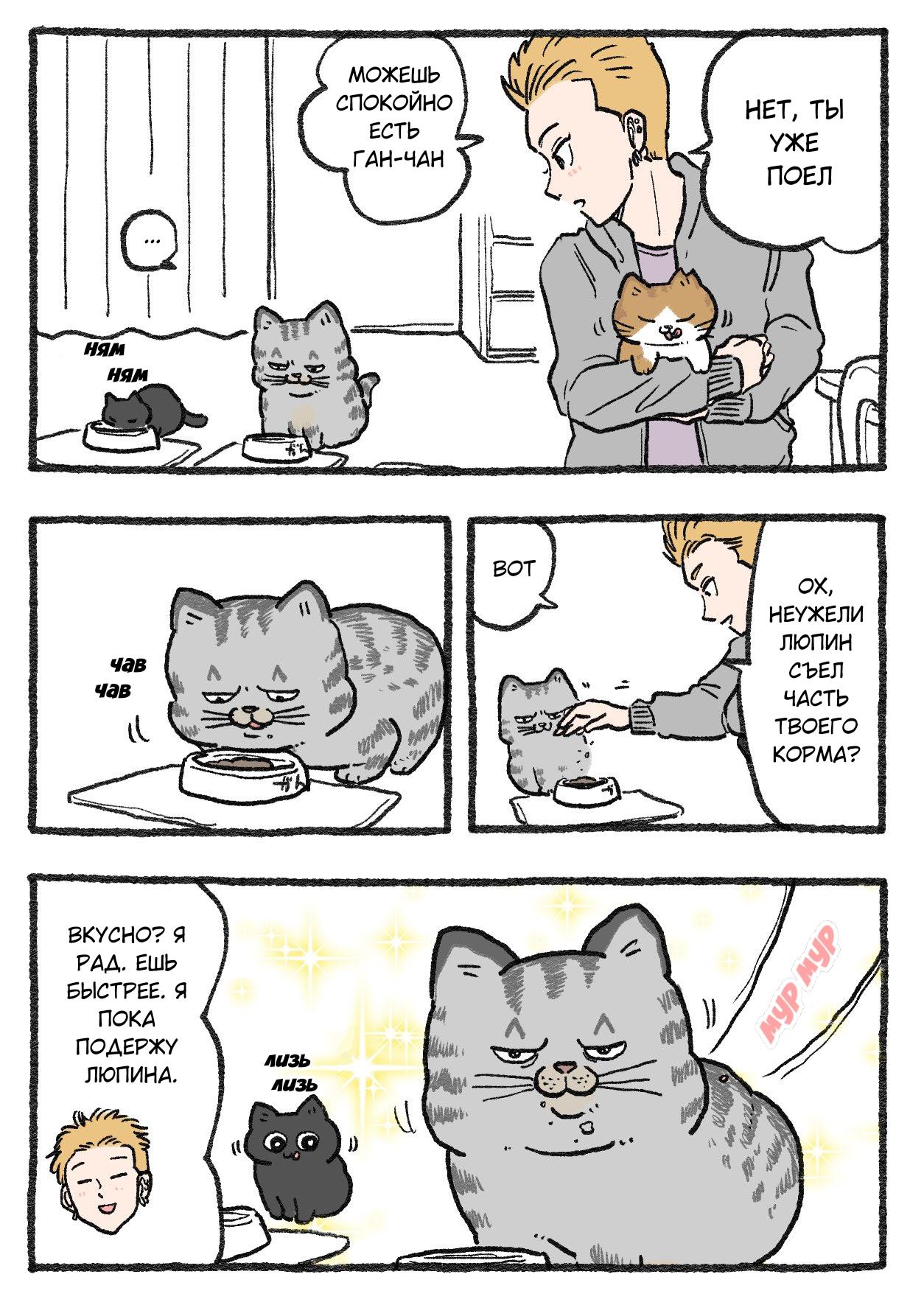 Read Старик, перевоплотившийся в кота Manga Online