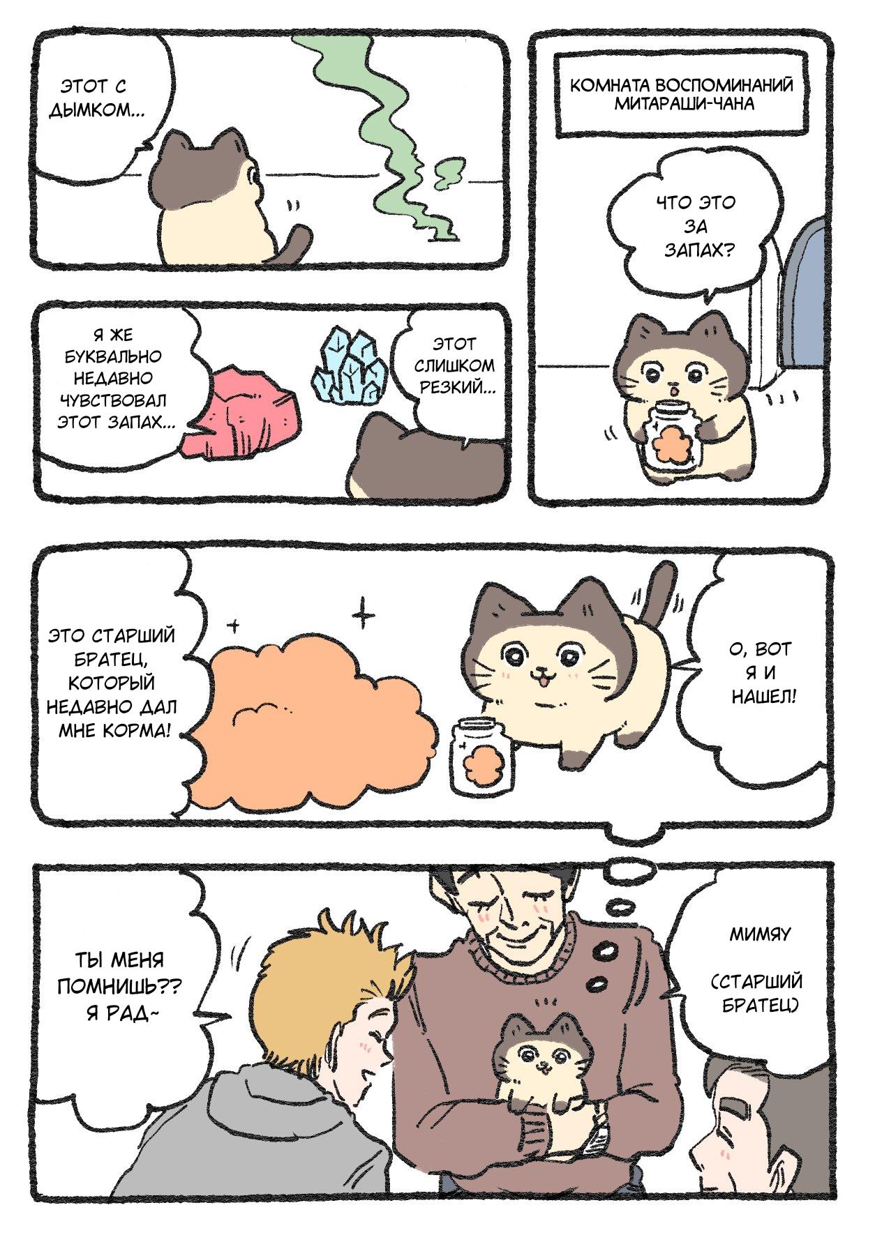 Read Старик, перевоплотившийся в кота Manga Online