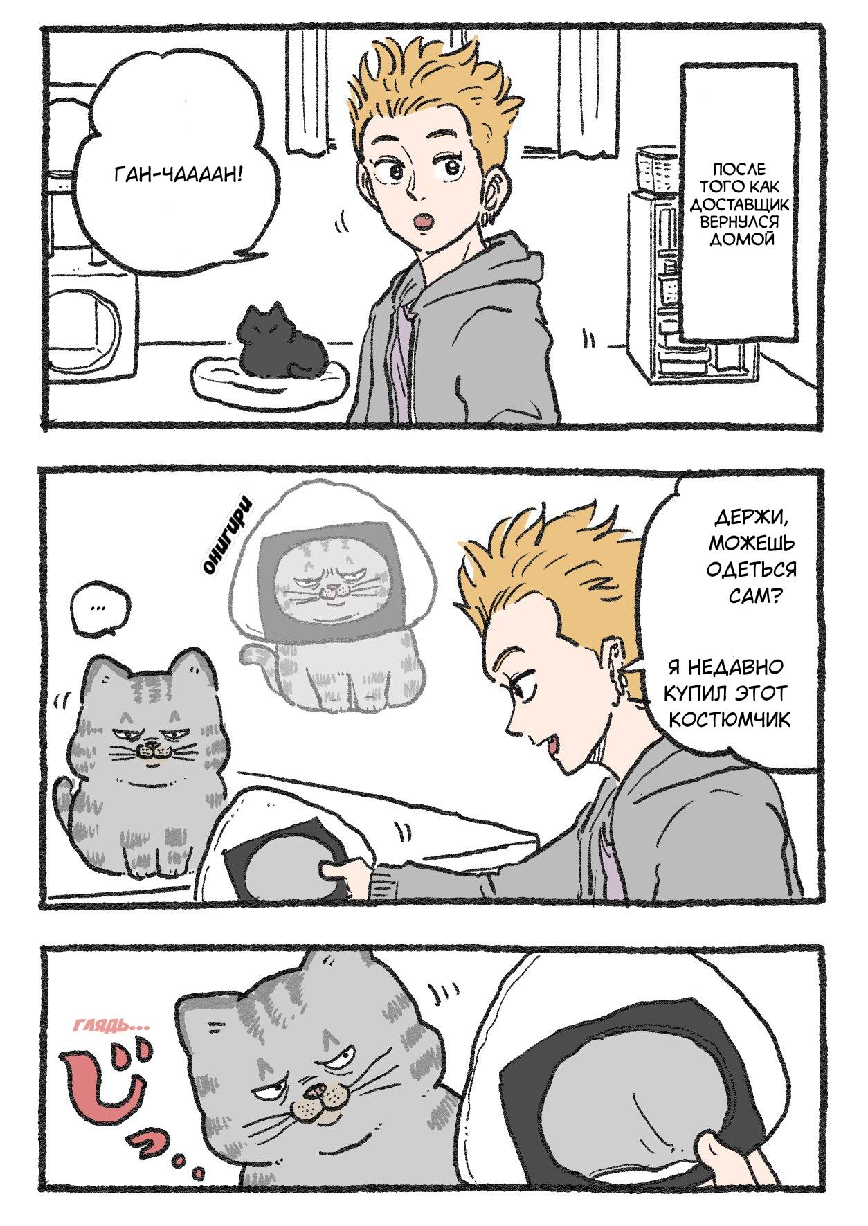 Read Старик, перевоплотившийся в кота Manga Online