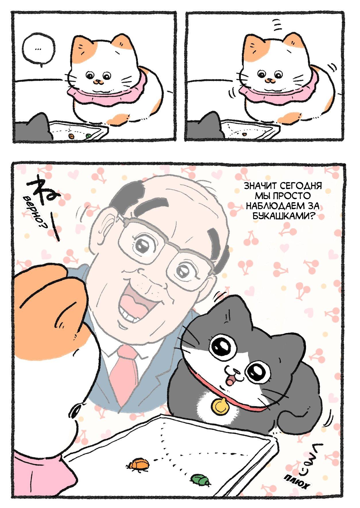 Read Старик, перевоплотившийся в кота Manga Online