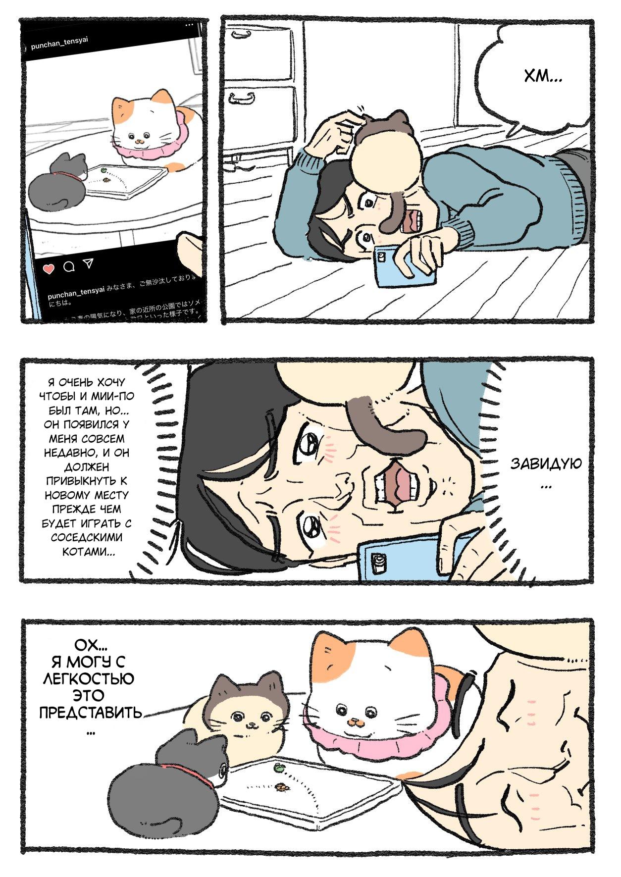 Read Старик, перевоплотившийся в кота Manga Online