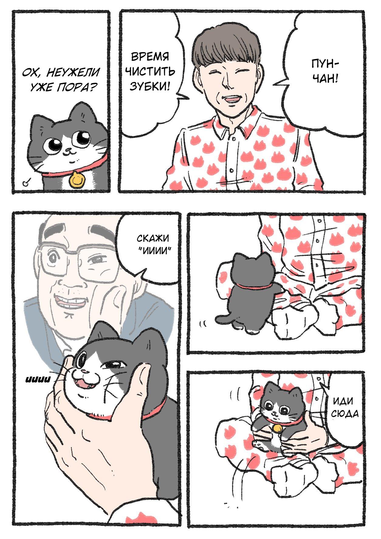 Read Старик, перевоплотившийся в кота Manga Online