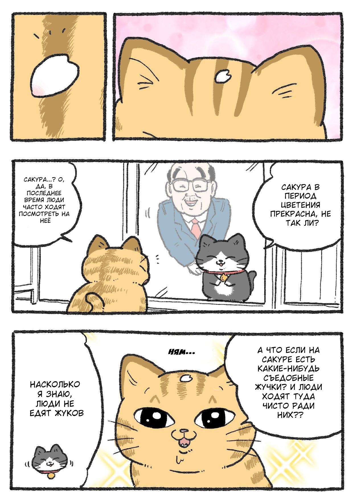 Read Старик, перевоплотившийся в кота Manga Online