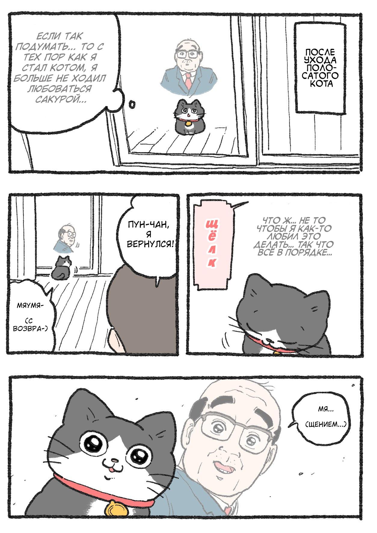 Read Старик, перевоплотившийся в кота Manga Online