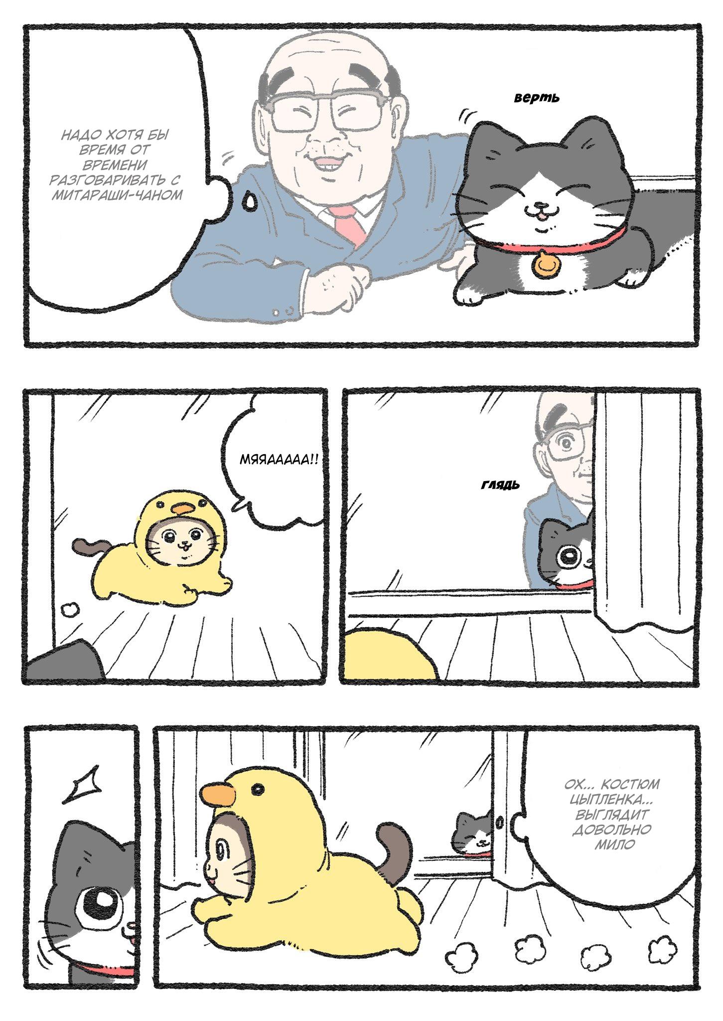 Read Старик, перевоплотившийся в кота Manga Online