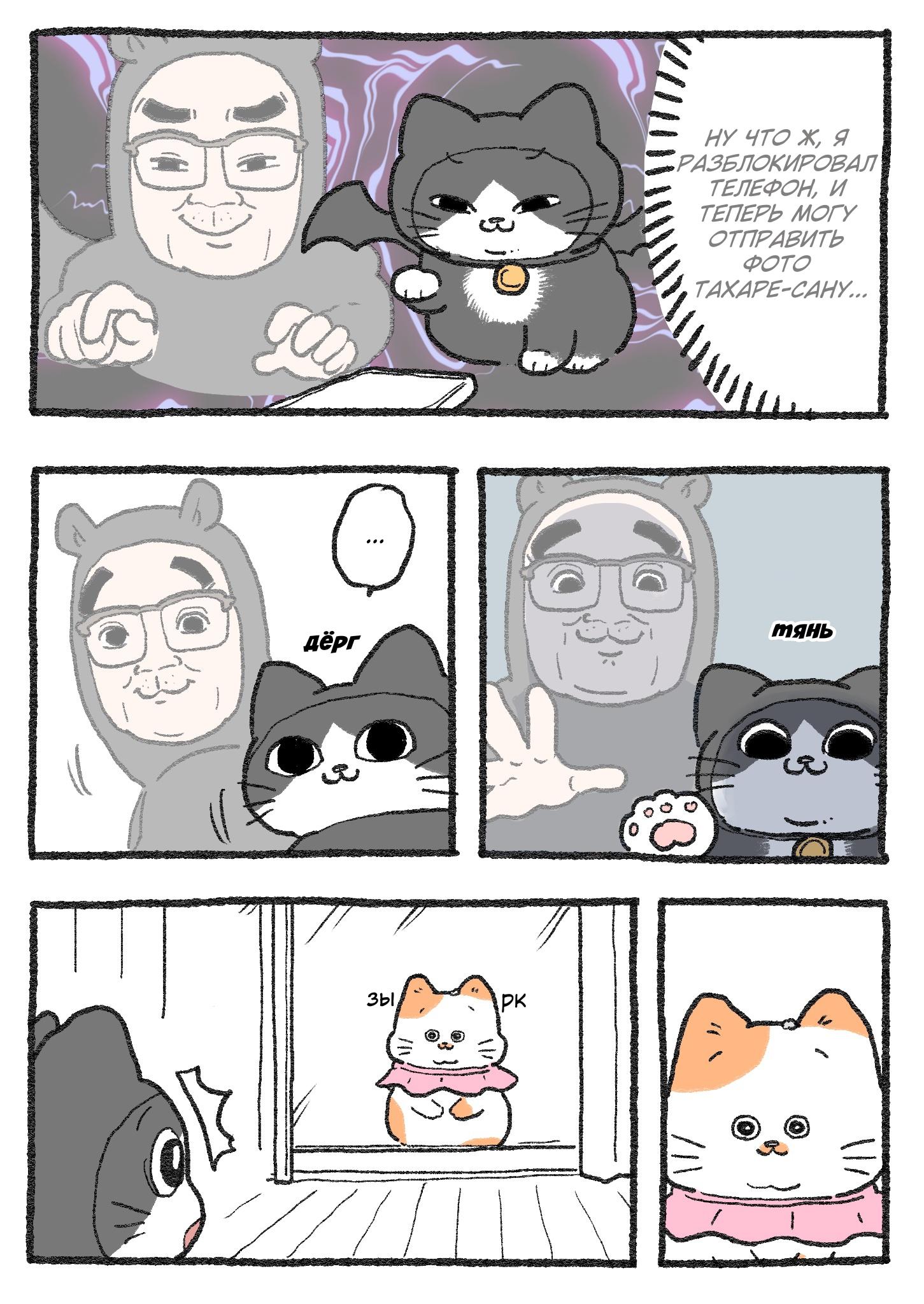 Read Старик, перевоплотившийся в кота Manga Online