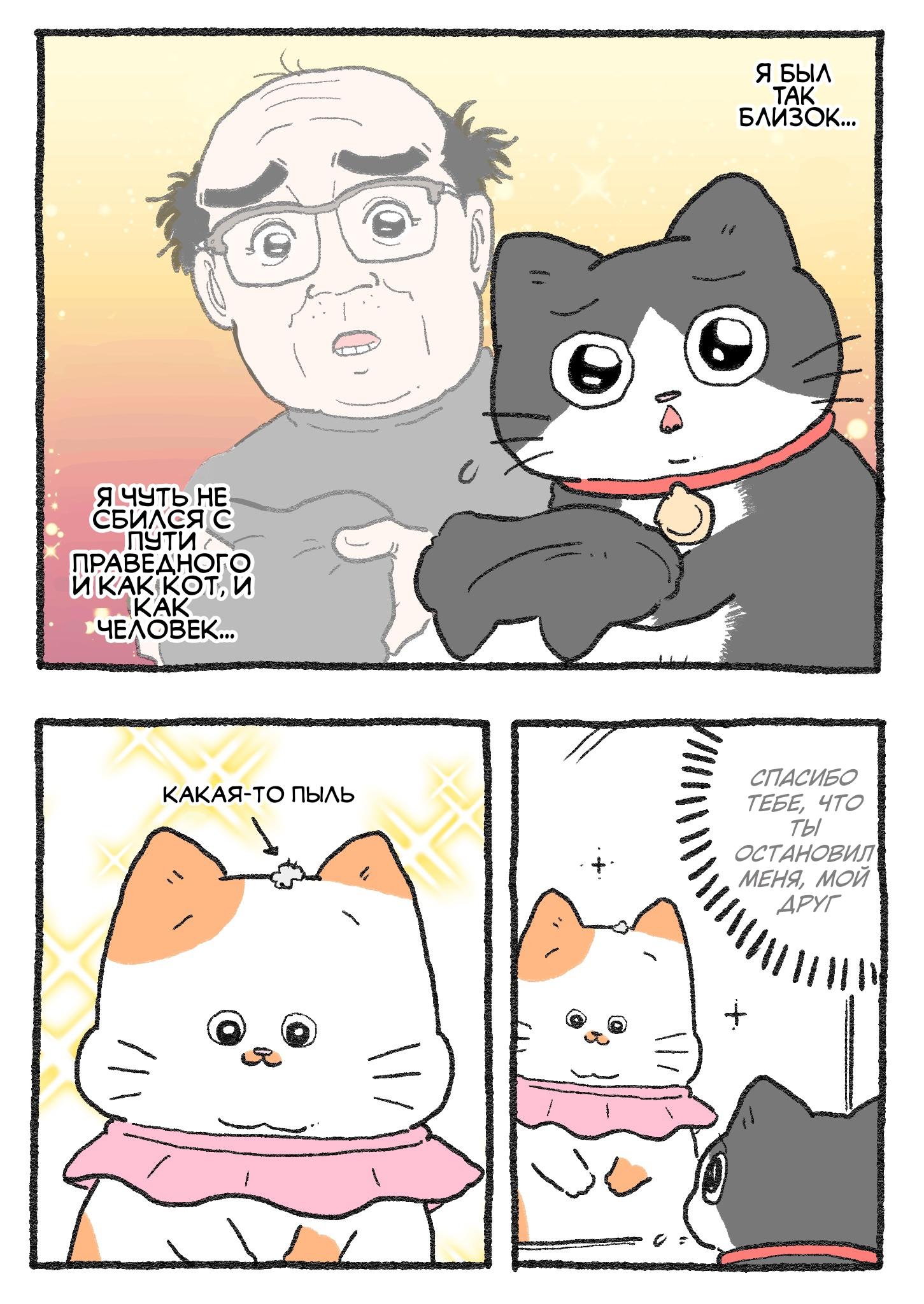 Read Старик, перевоплотившийся в кота Manga Online