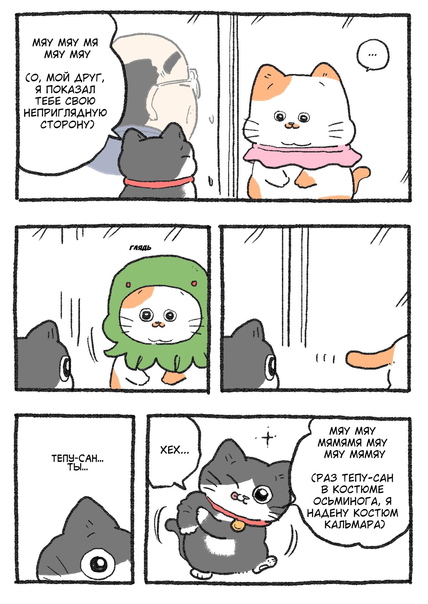 Read Старик, перевоплотившийся в кота Manga Online