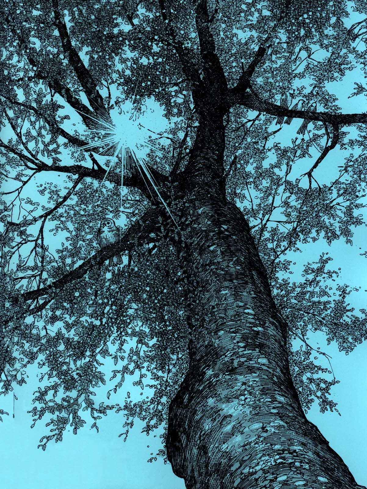 Read Чернила коллекция иллюстраций из Бродяги - Артбук Manga Online