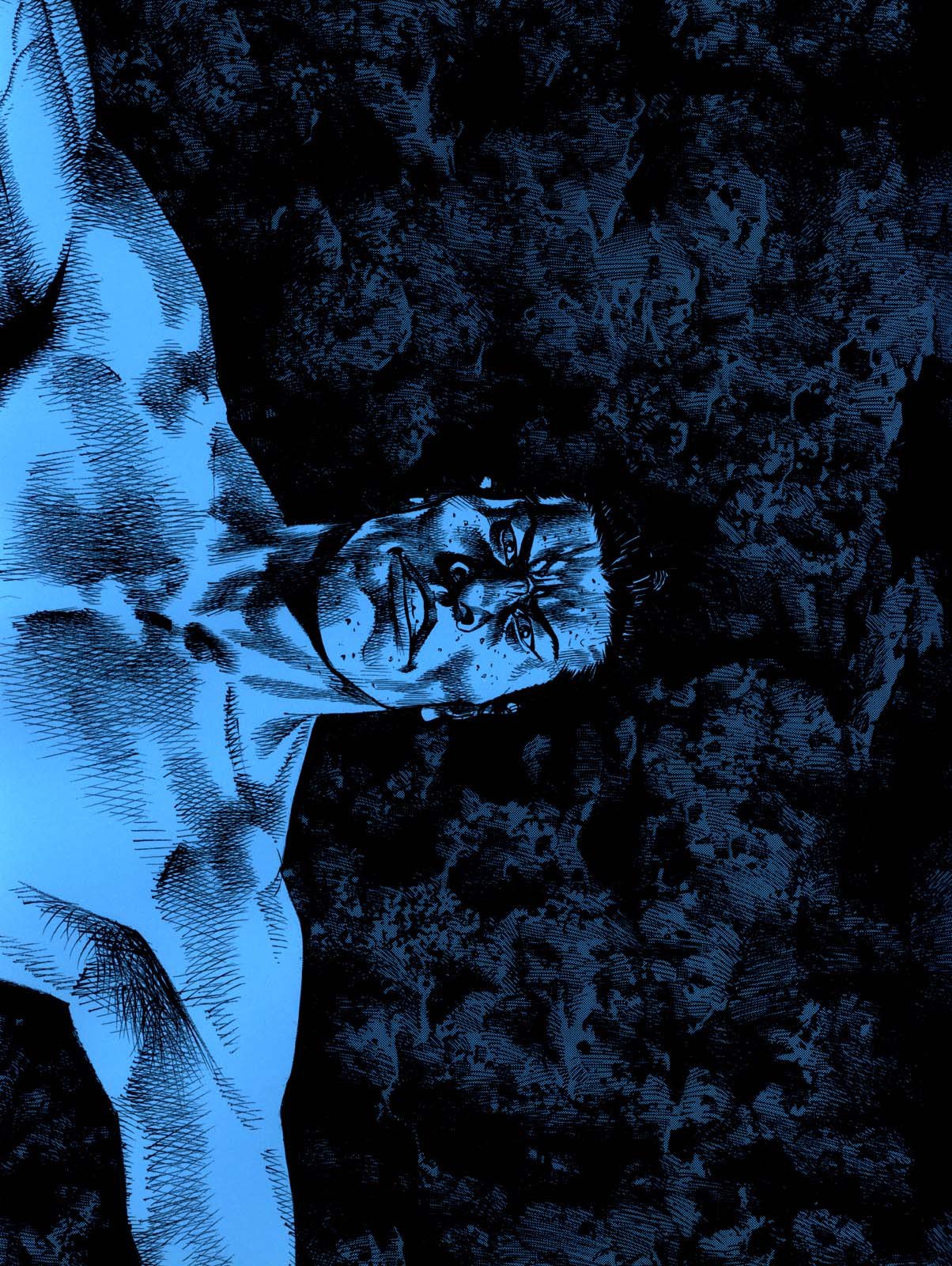 Read Чернила коллекция иллюстраций из Бродяги - Артбук Manga Online