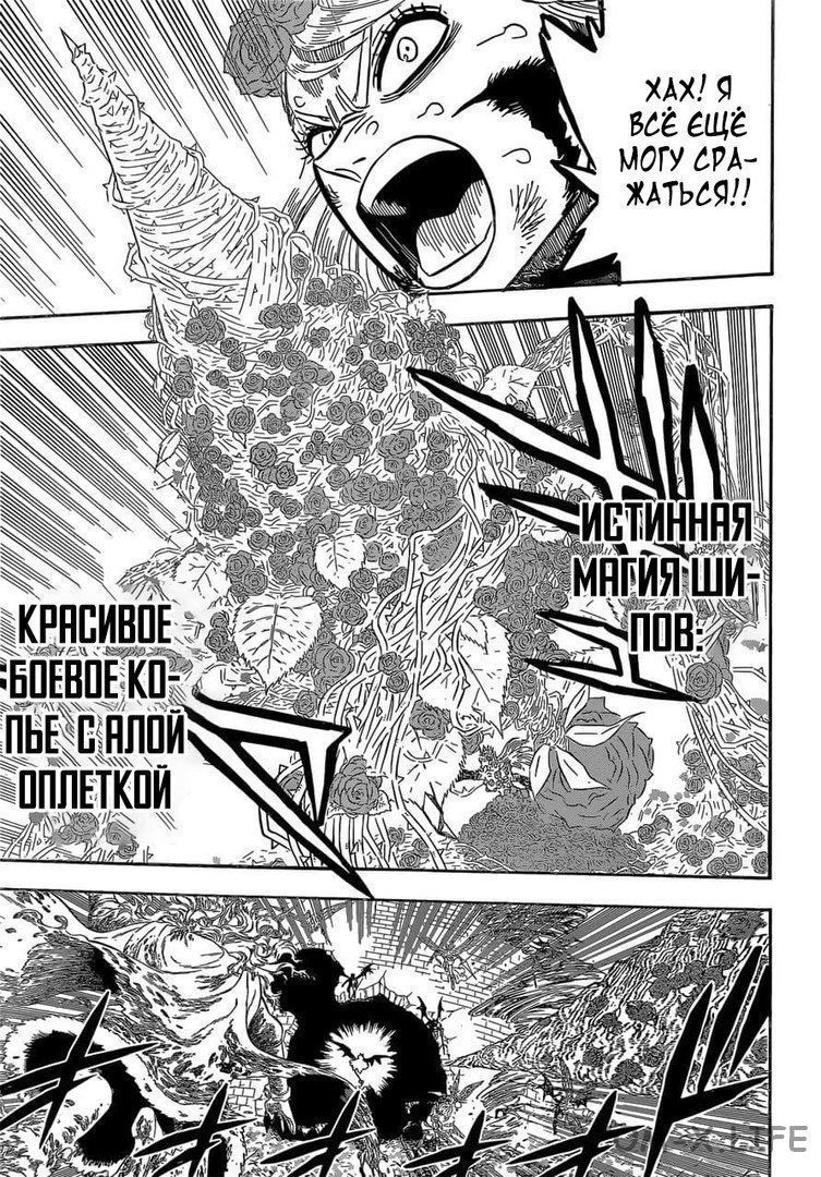 Read Чёрный Клевер Manga Online