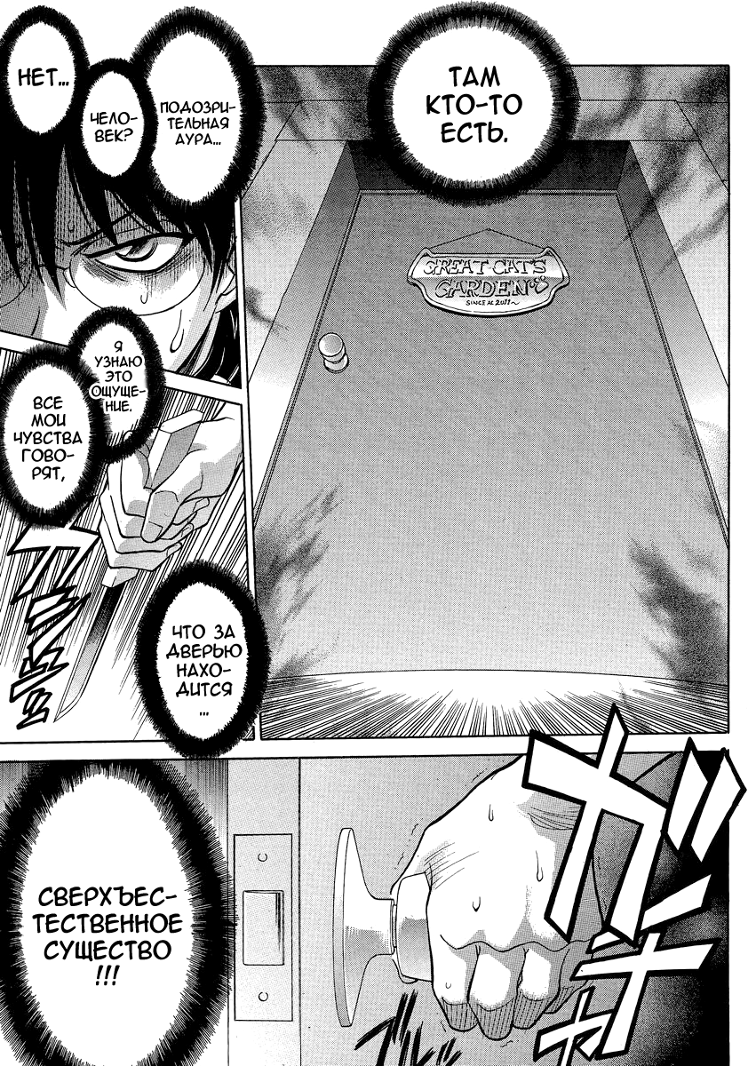 Read Melty Blood X Manga Online