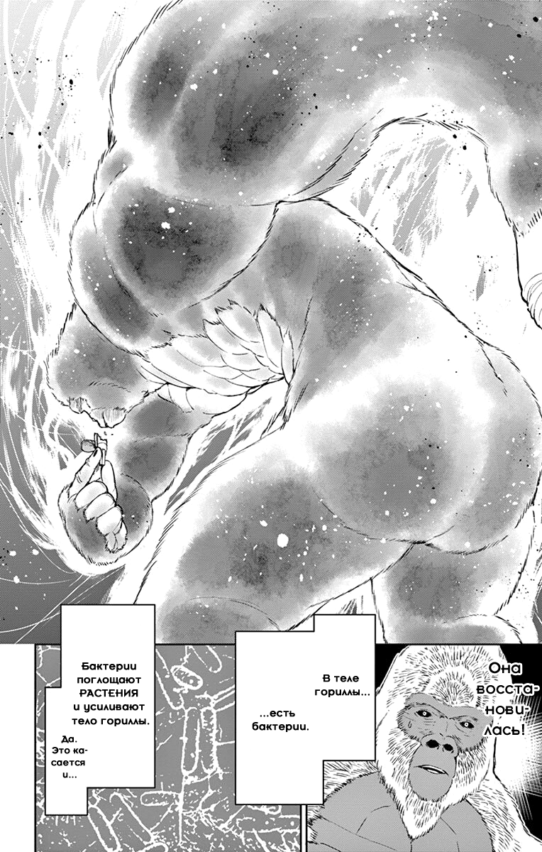 Read Ping Kong Manga Online