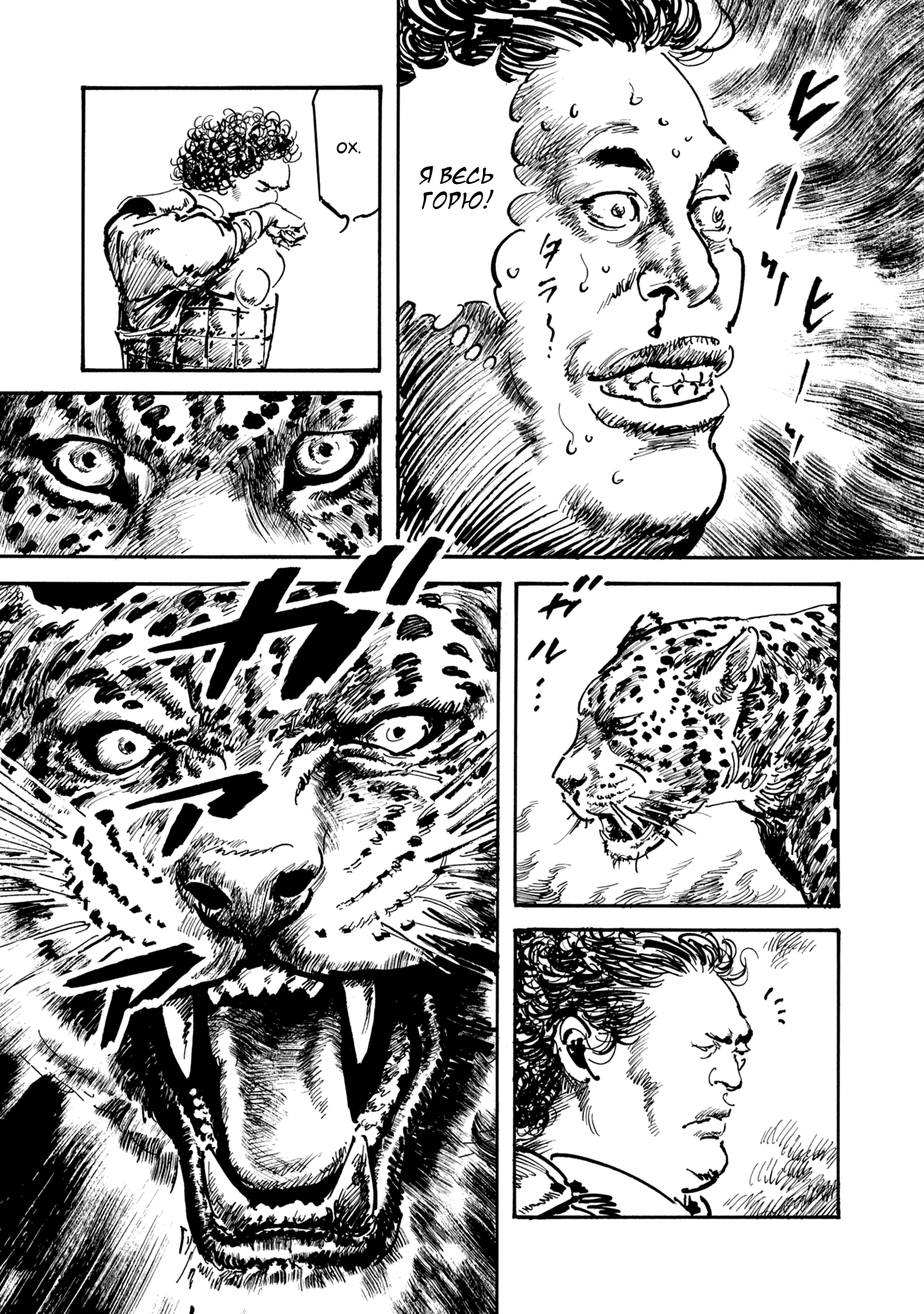 Read Queen of Bijah Manga Online