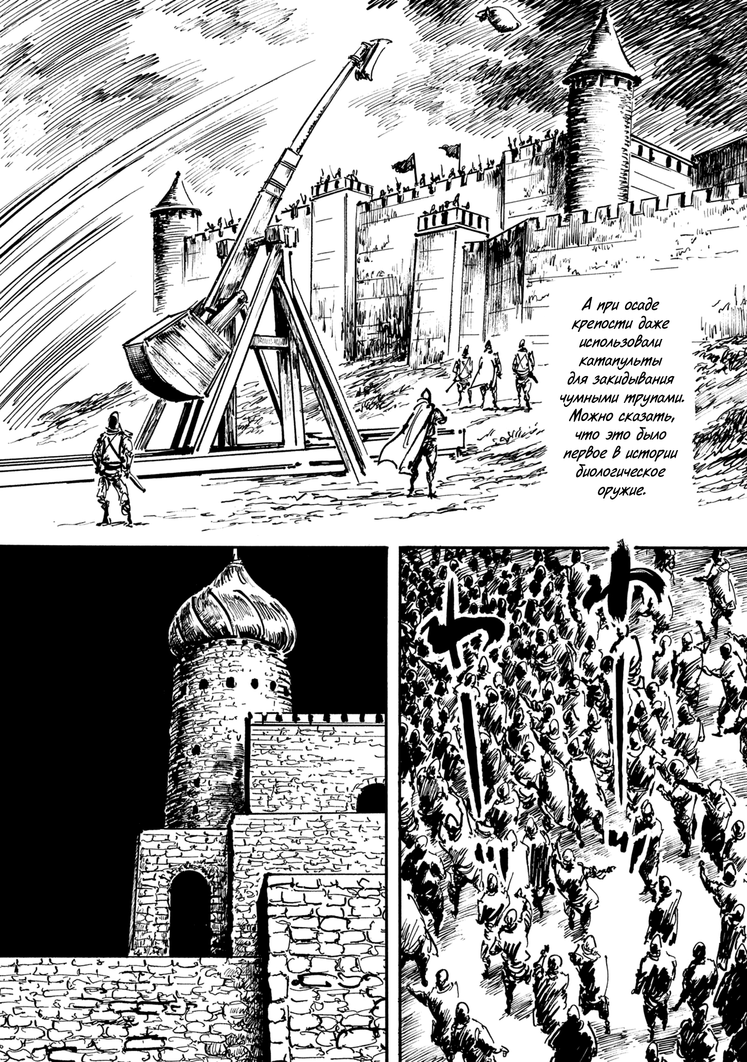 Read Queen of Bijah Manga Online