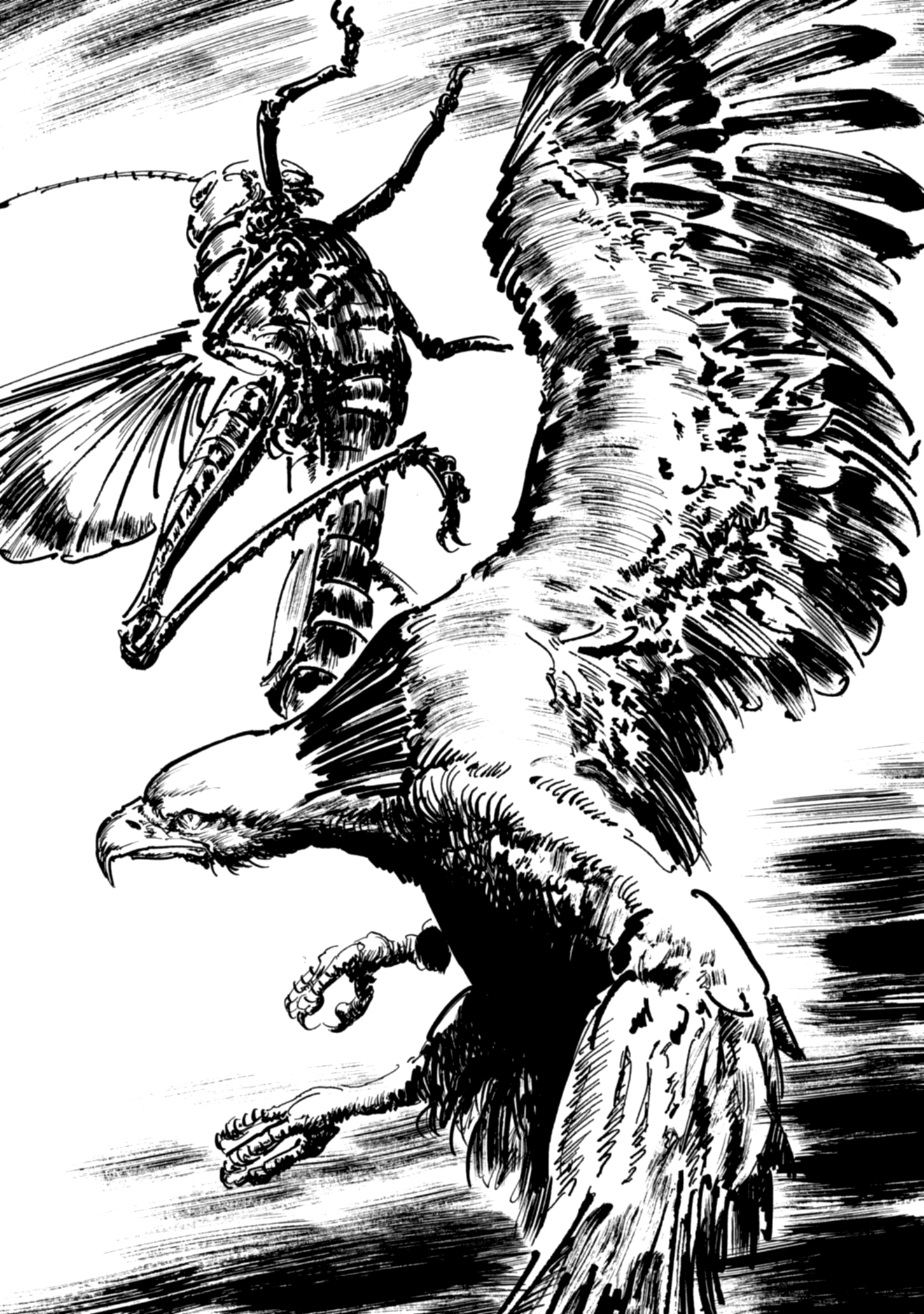 Read Queen of Bijah Manga Online