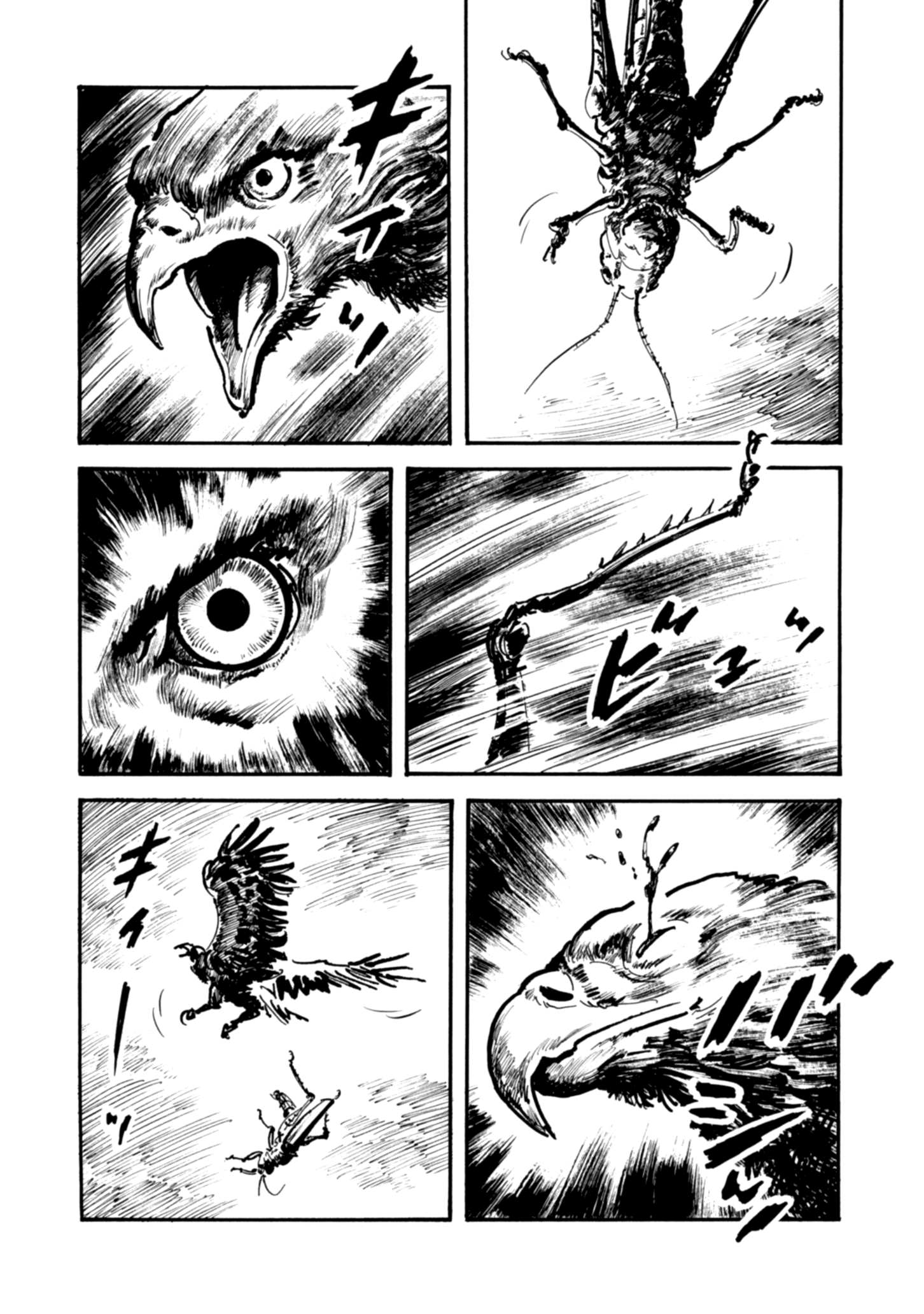 Read Queen of Bijah Manga Online