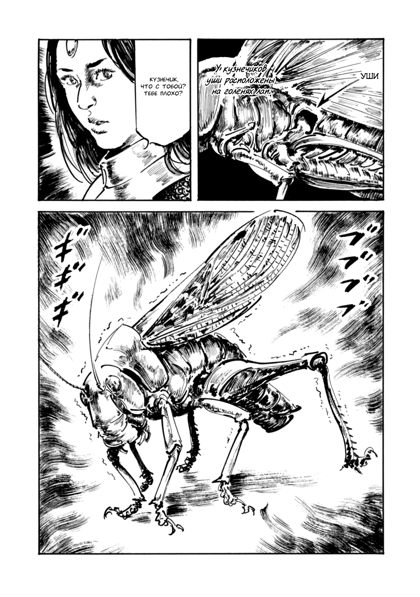 Read Queen of Bijah Manga Online