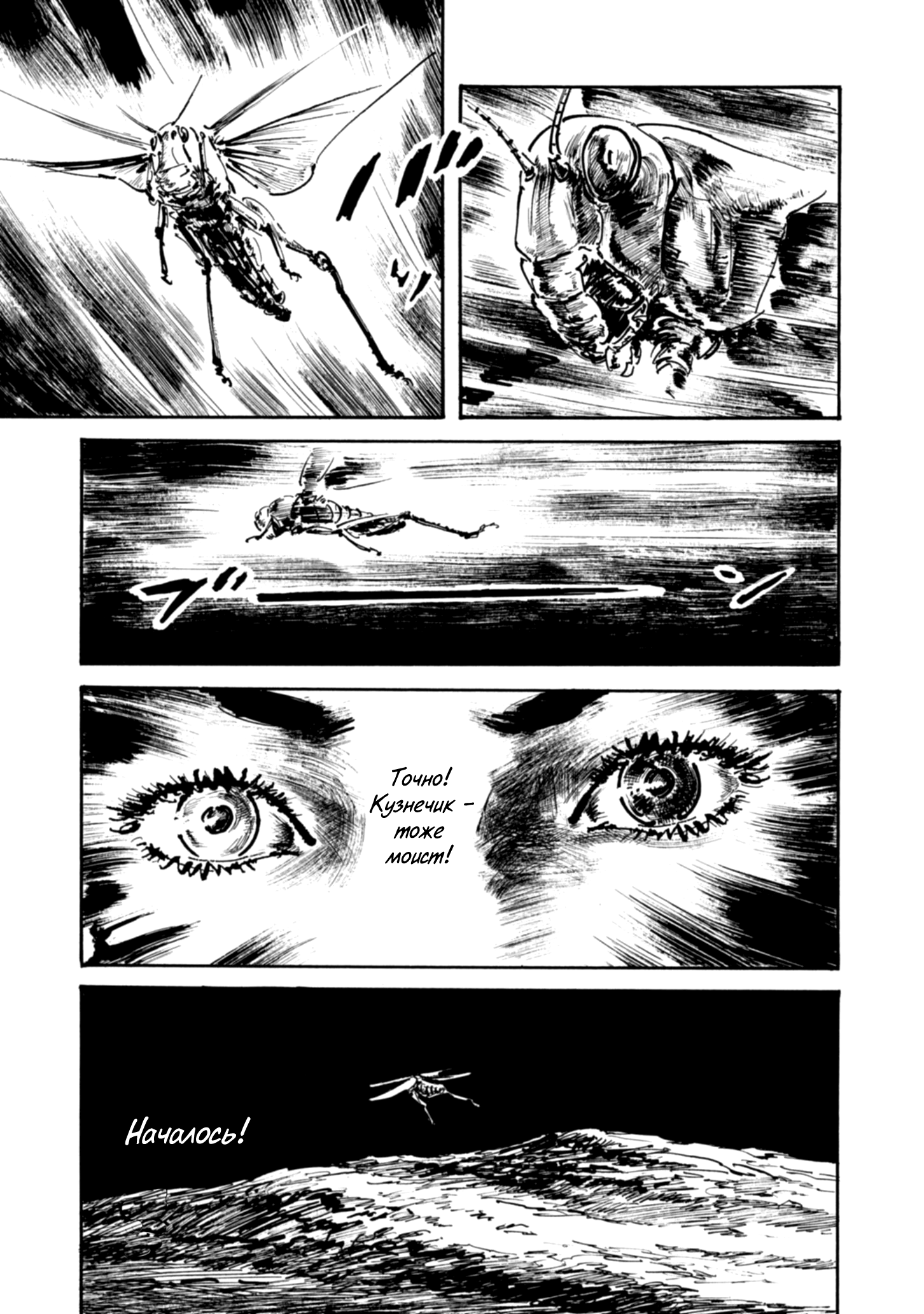 Read Queen of Bijah Manga Online