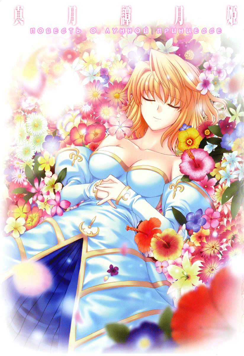 Read Tsukihime Manga Online
